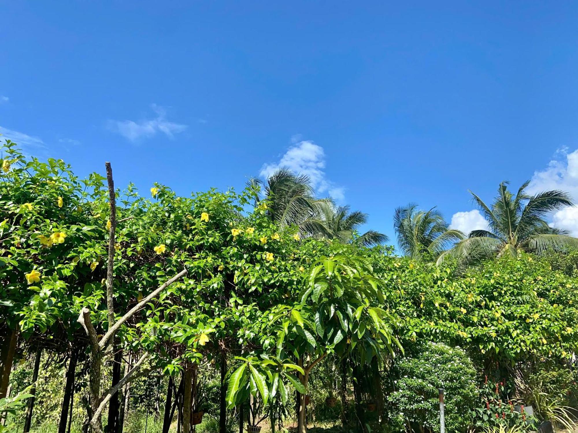 Y Nghia Bungalow Ong Lang Phu Quoc Bagian luar foto