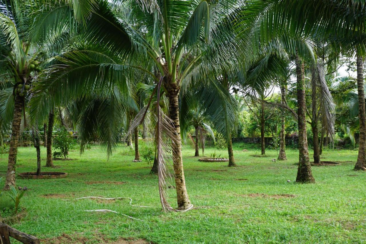 Y Nghia Bungalow Ong Lang Phu Quoc Bagian luar foto